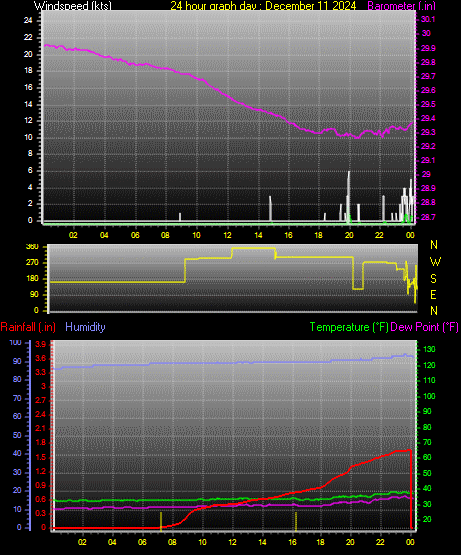 24 Hour Graph for Day 11